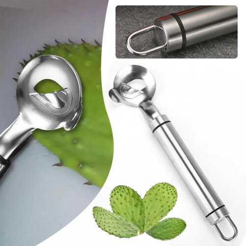 Stainless Steel Cactus Peeler Spoon Multi-Function 1 Piece