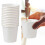 Disposable Tasting Cups for Coffee Tea PE-Lined Eco Paper 5