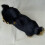 Yorkshire Terrier plush toy realistic soft stuffed animal 5