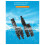 Solar Photovoltaic Connector T-Type Three-Way Parallel Series Connector Solar Panel Module Waterproof Plug 2