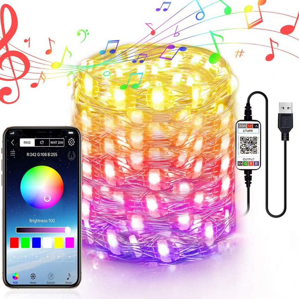 LED String Lights Bluetooth Remote Copper Wire