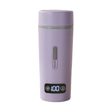 Electric Kettle Stainless Steel Portable 1L Violet