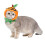 Halloween Cat Pumpkin Hat Pet Decoration 4