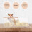 Clear Acrylic Hamster Bath Tub Transparent 1 Piece 1