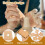 Beech Wood Pottery Ribs and Foot Shapers 6 Pcs 4