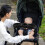 Stroller Tray Attachment Universal ABS Spill-Proof 1 Pack 4