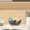 Otter Tape Dispenser Desk Accessory 1 Pack 4