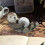 Otter Tape Dispenser Desk Accessory 1 Pack 2