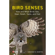 Bird Senses How and What Birds See Hear Smell Taste and Feel by Graham