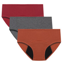 Women's Cotton Menstrual Period Underwear Leak-Proof Briefs