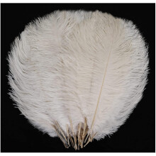 White Natural Feathers 20cm-25cm 20 Pcs