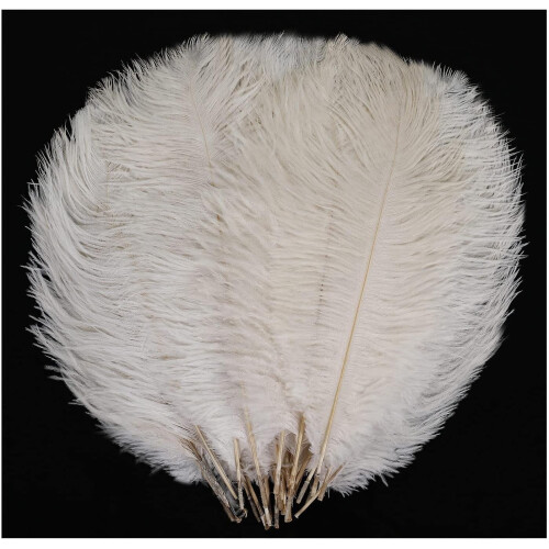 White Natural Feathers 20cm-25cm 20 Pcs