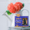 Graduation Picture Frame Banner Blue High School Backdrop 2