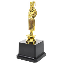 Female Doctor Trophy Ornament Plastic 1 Piece
