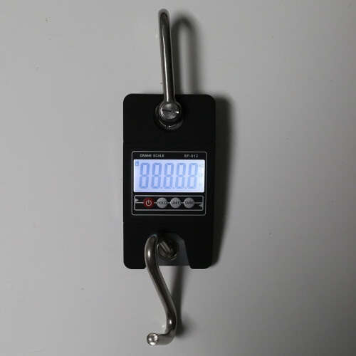 Digital Hanging Scale for Fishing Weights Portable LCD 2