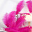 Black Natural Feathers 8-10 inch 20 pcs 4