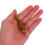 FRCOLOR Antique Gold Cabinet Knobs 6.5 x 2.1 x 1.9 cm 7