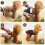Couches pour chien - Lot de 3 - Lavables - Confortables - Imperméables 2