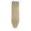Hair Extensions Full Head Straight Clip-In 1