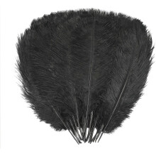 Black Natural Feathers 8-10 inch 20 pcs