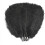 Black Natural Feathers 8-10 inch 20 pcs 1