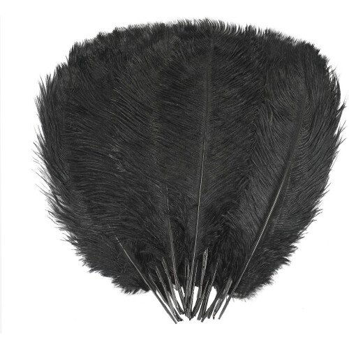 Black Feathers Natural 20-25cm 20 Pcs