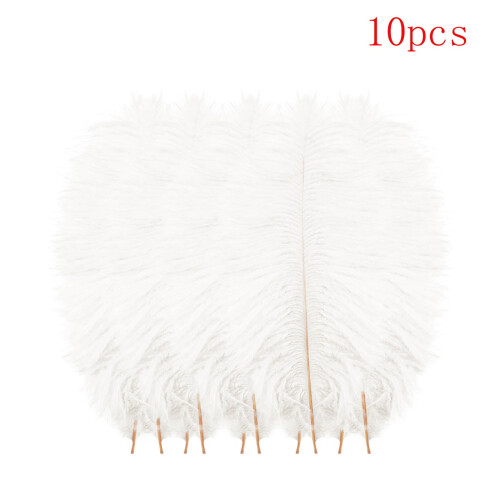Multicolor plumage for wedding centerpieces DIY home decor