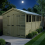 8 x 19 Apex Shed Tanalised (Double Door, With Windows) 3