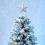 Decorative Star Ornament Silver 8
