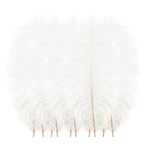 Multicolor plumage for wedding centerpieces DIY home decor 1