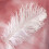 Multicolor plumage for wedding centerpieces DIY home decor 3