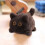 Pull String Plush Dog Toy Shiba Inu 12 inches 6