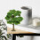 Track Scene Accessory Tree Model Green Iron Wire 1 Piece 2