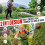 24V Cordless 3-in-1 Weed Wacker and Edger with Telescopic 3