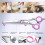 Titanium Coated Dog Grooming Scissors 6-in-1 4