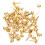 Small Paper Fastener Brads Golden 100PCS 1
