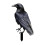 Crow Ornament Halloween Decor Black Plastic 1 Piece 1