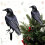 Crow Ornament Halloween Decor Black Plastic 1 Piece 2