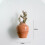 Refrigerator Magnets Set Ceramic Vase Design 6 Pieces 7