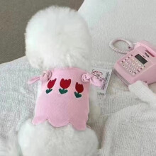 Djurkläder för katter och små hundar vår höst