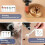 Power Rotary Tool Bits 1/8 inch 515 pcs 8