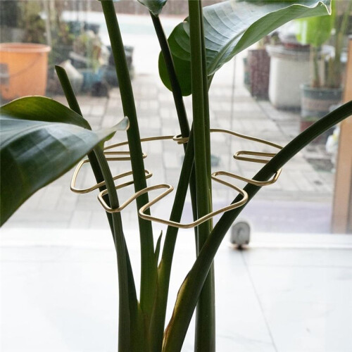 Monstera Stem Support 5 Peças Plant Support System para Monstera e Turtle Shell Plants-Quality Leaf Clamps 2