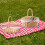 Wicker Basket with Handle for Camping Picnic Storage 6