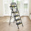 Folding Step Stool Ladder with Handrails Steel 3-6 Steps 4