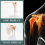 Medical Shoulder Anatomy Model with Functional Ligaments 5