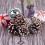 Pine Cones with White Edges Christmas Ornaments Set 6 Pieces 4
