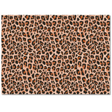 Leopard Zebra Area Rug Non-Slip Large Entrance Mat