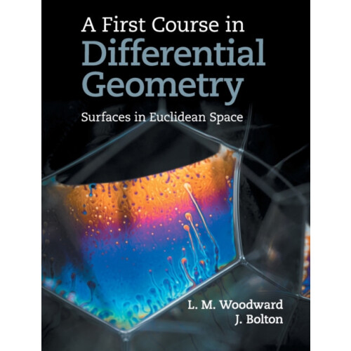 A First Course in Differential Geometry by Lyndon Woodward Paperback B