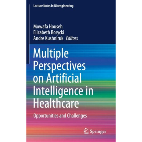 Multiple Perspectives on Artificial Intelligence in Healthcare Opportu