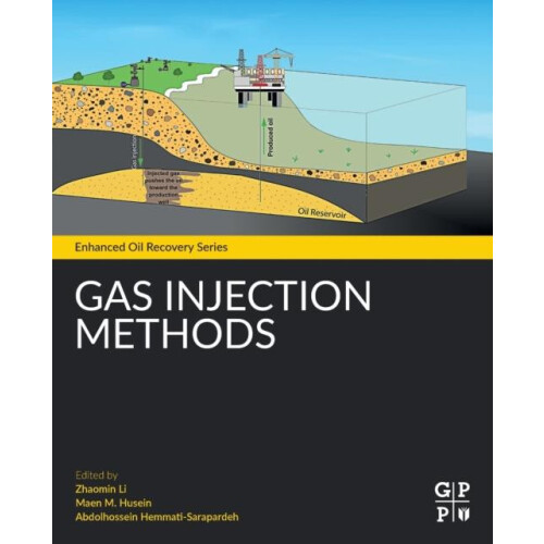 Gas Injection Methods Paperback Book
